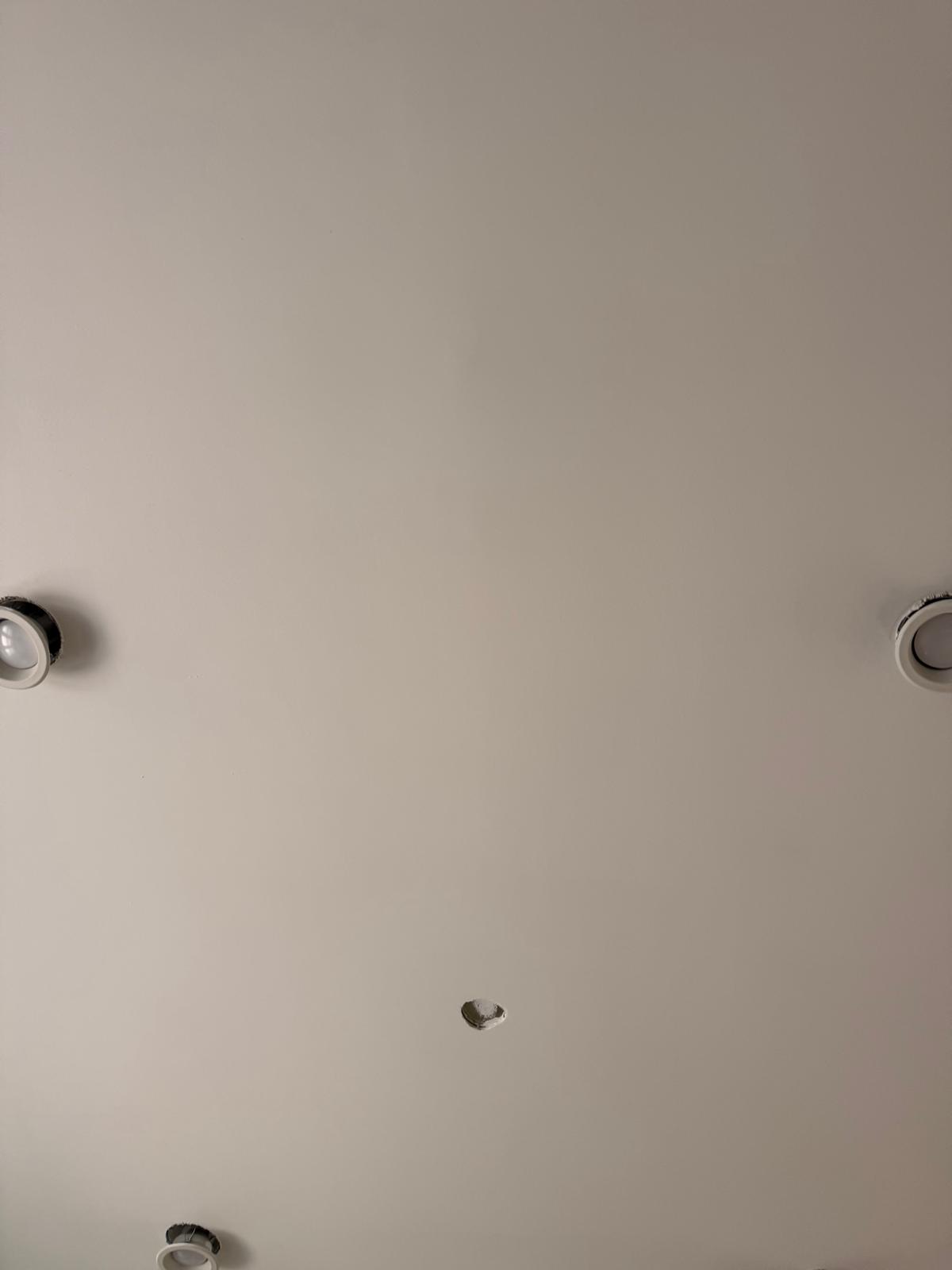 Ceiling with recessed light fixtures and a central fixture opening