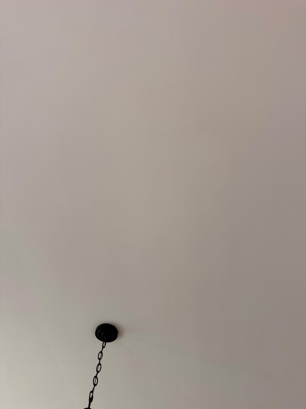 Ceiling pendant light mounting point and hanging chain